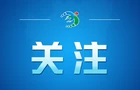 理政纪丨古树新翠