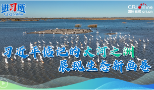 【讲习所·追光的你】习近平惦记的大河之洲展现生态新画卷