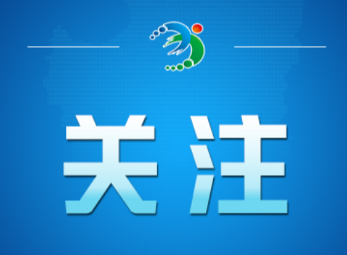 网信部门从严整治传播无AI标识的虚假不实信息问题（2026·02·13）