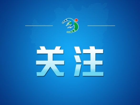 习近平总书记关切事｜经济大省勇挑大梁