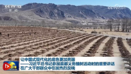 让中国式现代化的底色更加亮丽——习近平总书记参加首都义务植树活动时的重要讲话在广大干部群众中引发热烈反响