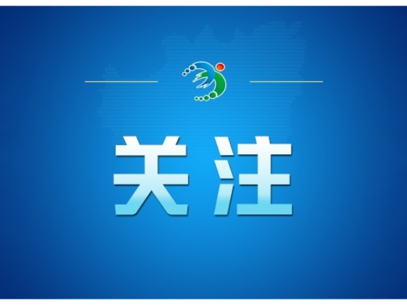 独家视频丨习近平会见郑丽文：两岸同胞同属中华民族 铸就共同信念