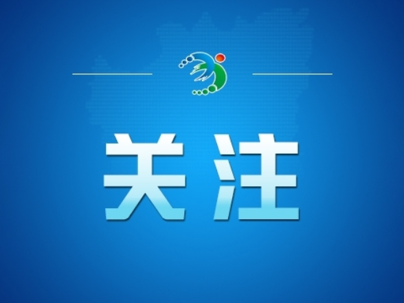 好评中国丨以落实之力 筑三湘发展之基