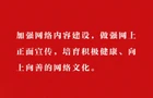 习近平谈网络安全和信息化