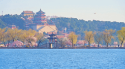 微视频｜为美丽中国增绿添彩