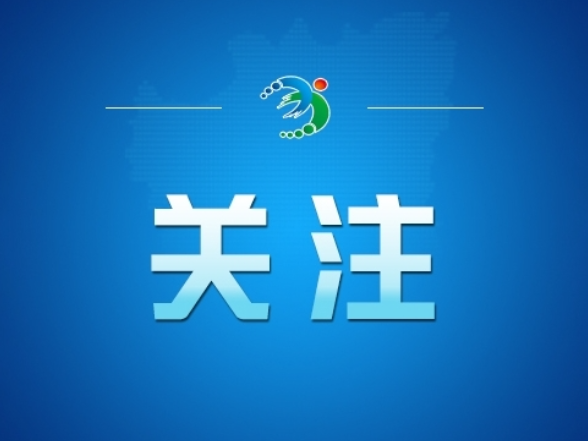 “学会通过网络走群众路线”