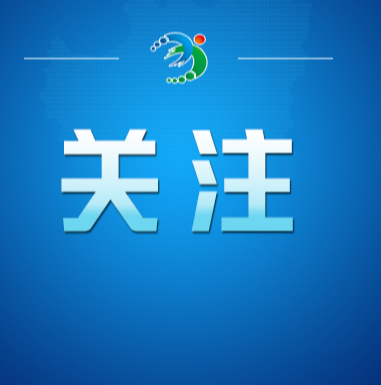 “交通安全统筹”等服务不属于车险(2026·05·12)