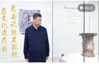 微视频｜在文化遗存前 总书记驻足凝视