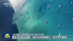 新思想引领新征程丨奋力谱写新时代生态文明建设新篇章