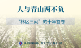 学习手记·创新理论引领创新实践 | 人与青山两不负——“林区三问”的十年答卷