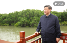 学习新语｜绿色承诺一以贯之