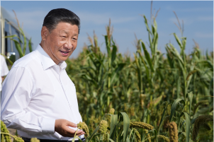 学习新语｜跟着总书记一起话丰收