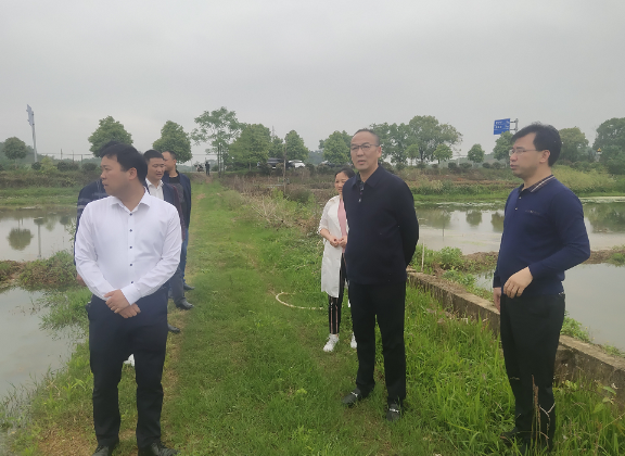 刘达祥到柏坊镇调研粮食生产管控区产业结构调整工作