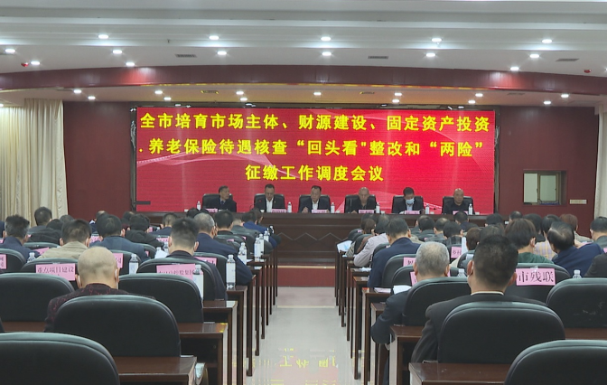 【视频】常宁召开培育市场主体 财源建设 固定资产投资 养老保险待遇核查“回头看”整改和“两险”征缴工作调度会
