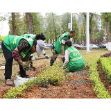 【视频】常宁城区增植补绿 优化人居环境