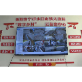 【视频】标准化 新变化丨水口山镇大渔村：推进数字乡村建设 助力乡村振兴