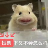 投票啦！快来pick你心中那条最美广告语