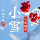 【视频】今日小雪丨小雪至，冬季始