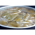 【记忆春节 常宁味道】 桐子叶粑粑