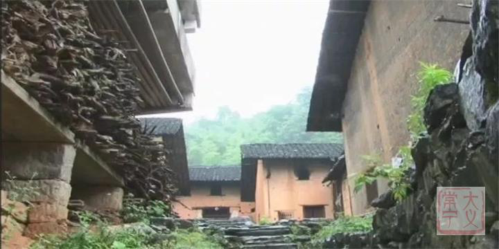 桐子叶粑粑2.png