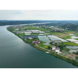 【视频】常宁：湘江河畔田园风景美如画