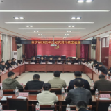 白沙镇召开返乡流动党员迎新春座谈会