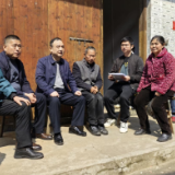 乡言知乡意 真情换笑颜丨白沙镇扎实开展“最是乡音解乡愁”民情大走访活动