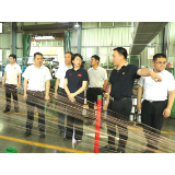 【视频】邓艳红调度重点项目建设