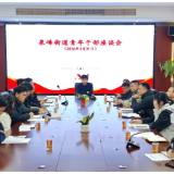 常宁市泉峰街道召开青年干部座谈会暨信访工作业务培训会