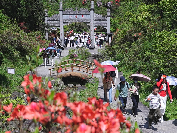 常宁：云上花开 天堂山高山杜鹃迎来暮春旅游热