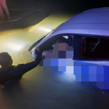 夜色蹚水他成功营救坠塘被困车主