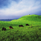 五一逛遍常宁不踩雷！本地人私藏游玩清单，吃住超舒服