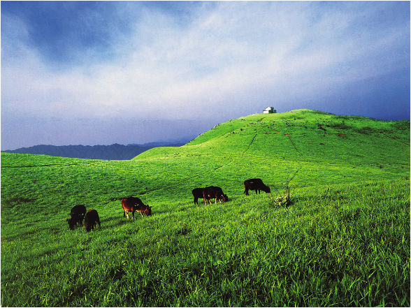 五一逛遍常宁不踩雷！本地人私藏游玩清单，吃住超舒服
