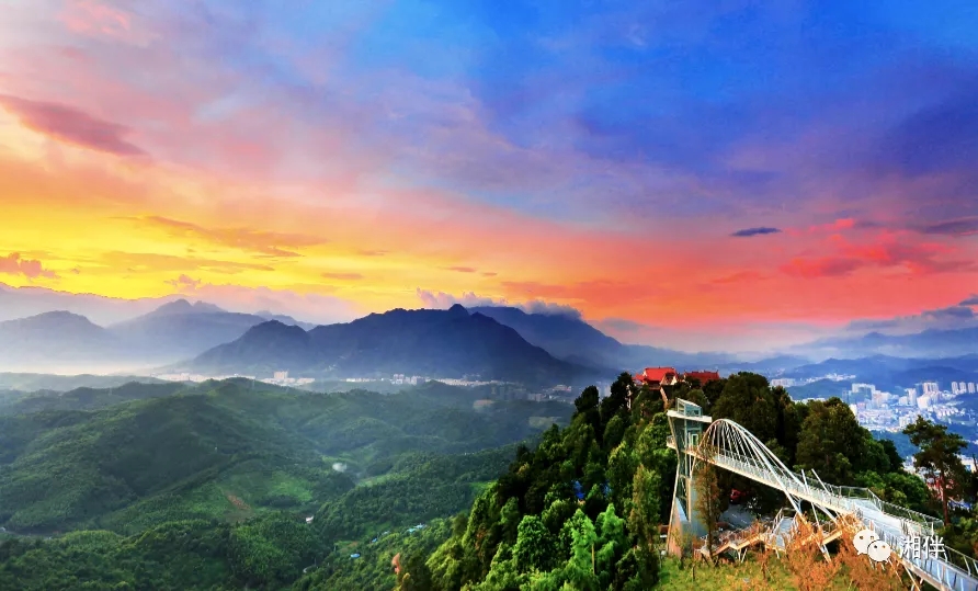 640.webp (7).jpg 640.webp (7).jpg