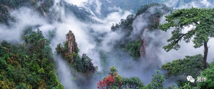 640.webp (6).jpg 640.webp (6).jpg