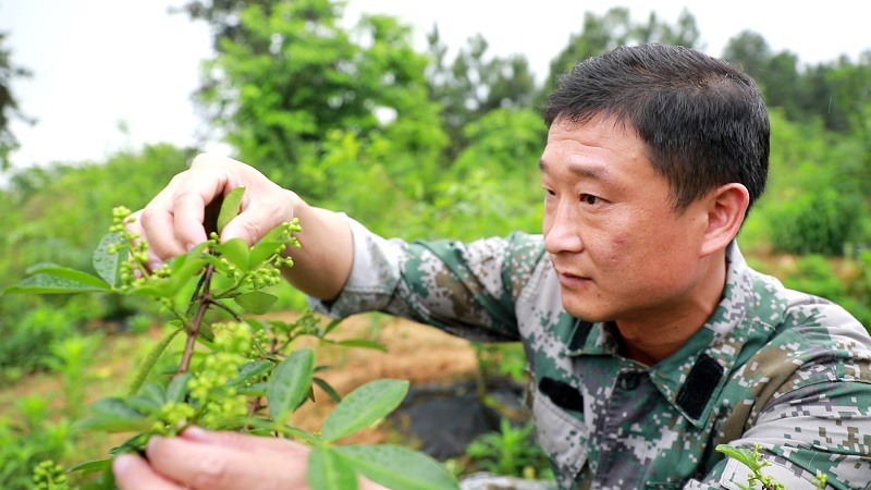 曹中华11.jpg 曹中华11.jpg