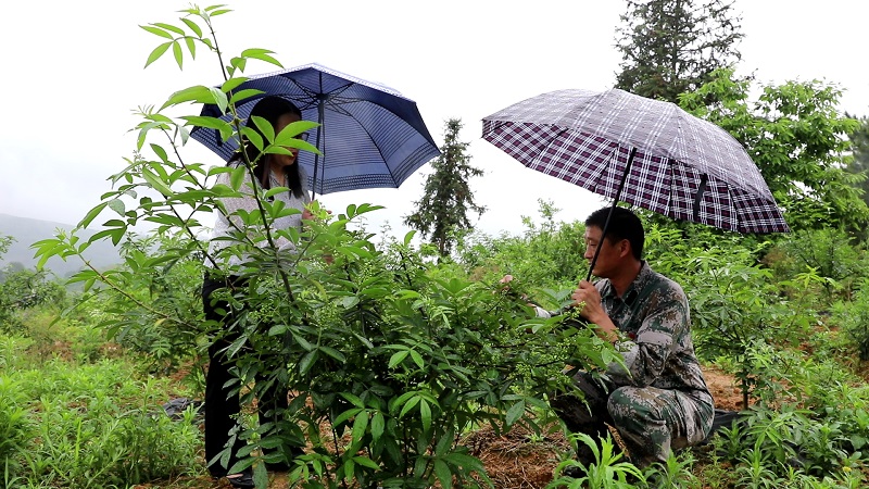 曹中华44.jpg 曹中华44.jpg