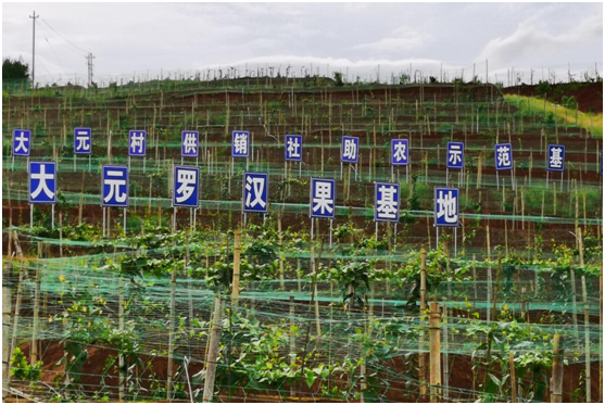 黄沙大元村.png