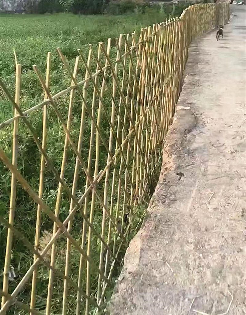 平和洞_副本.jpg