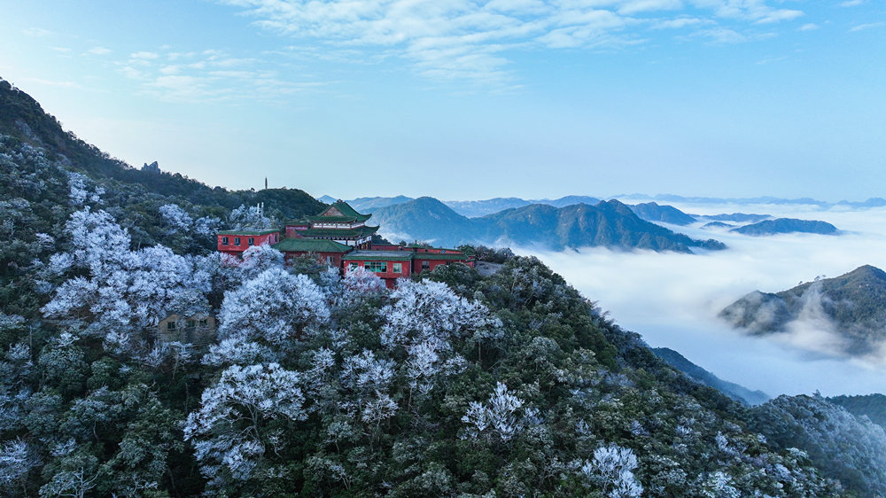 莽山_副本.jpg