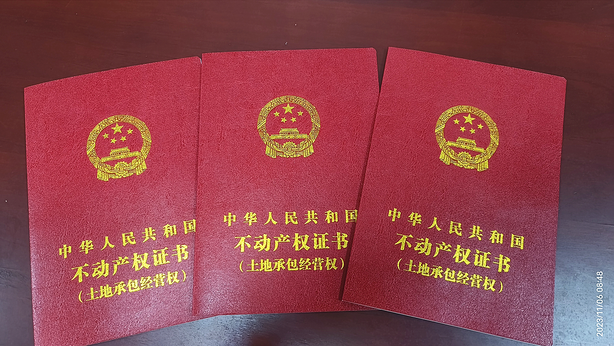 土地承包经营权不动产权首证_副本.jpg