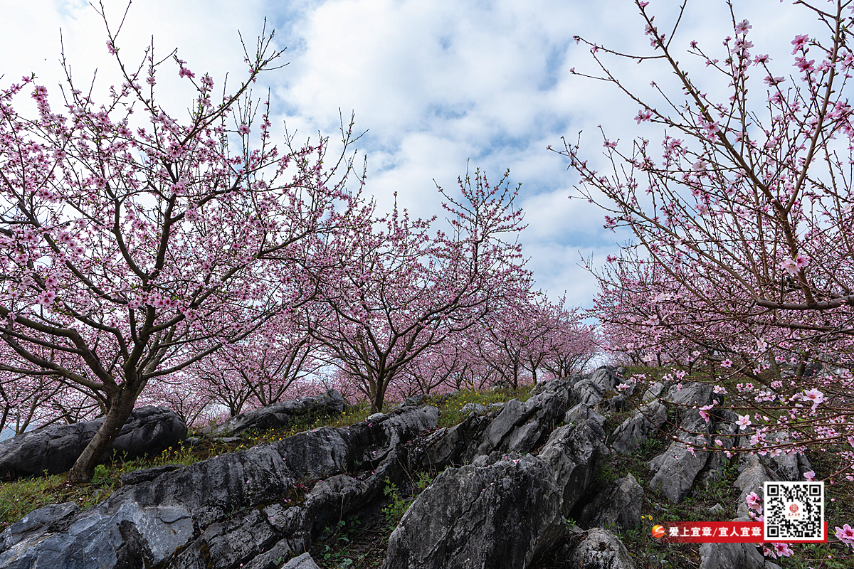 DSC05149_副本1.jpg