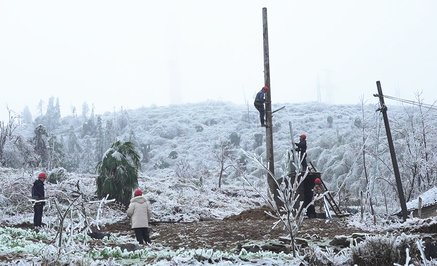 迎风战雪 全力抢修保供电1_副本.jpg