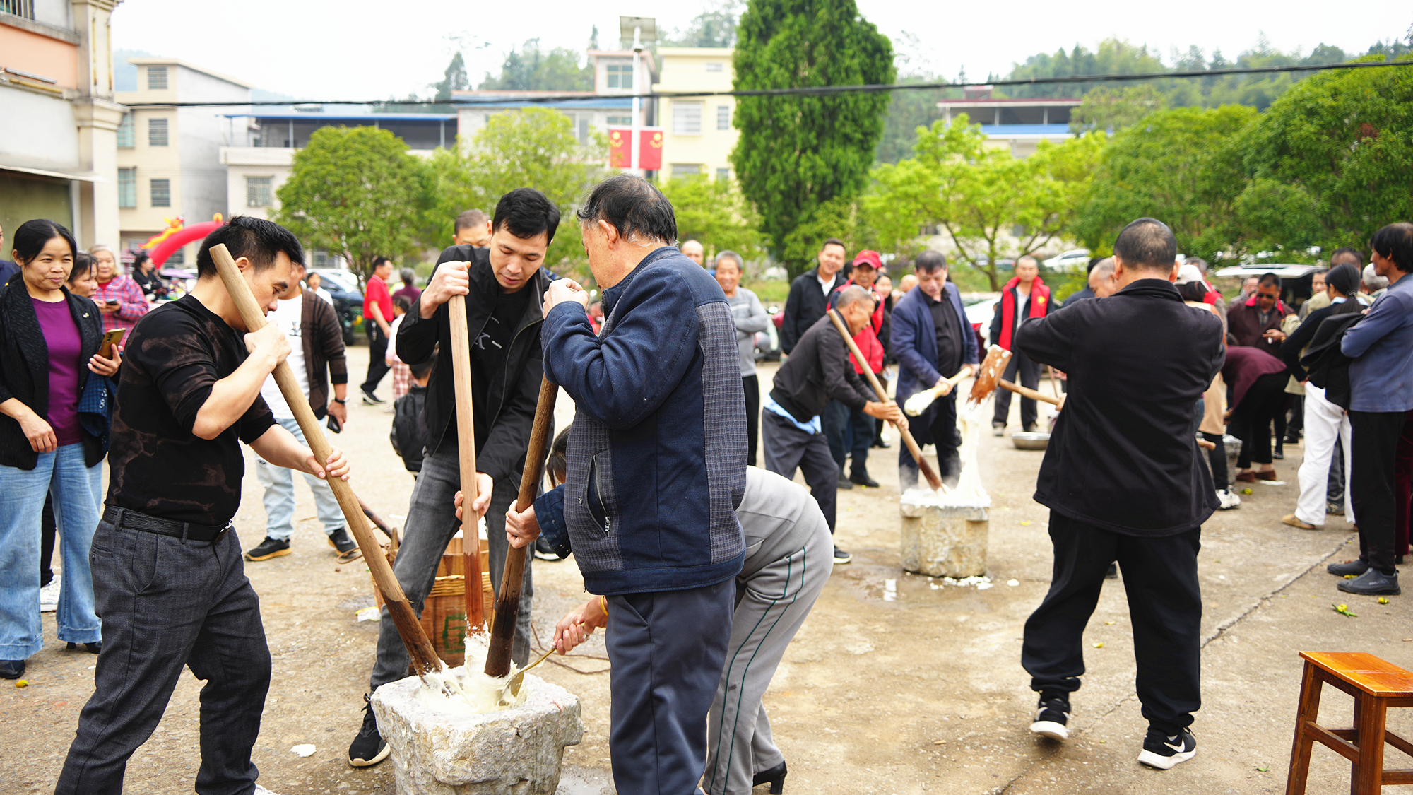 DSC03249_副本.jpg DSC03249_副本.jpg