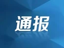 中共宜章县杨梅山镇委员会关于巡察整改进展情况的通报