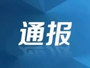 中共岩泉镇党委关于巡察整改进展情况的通报