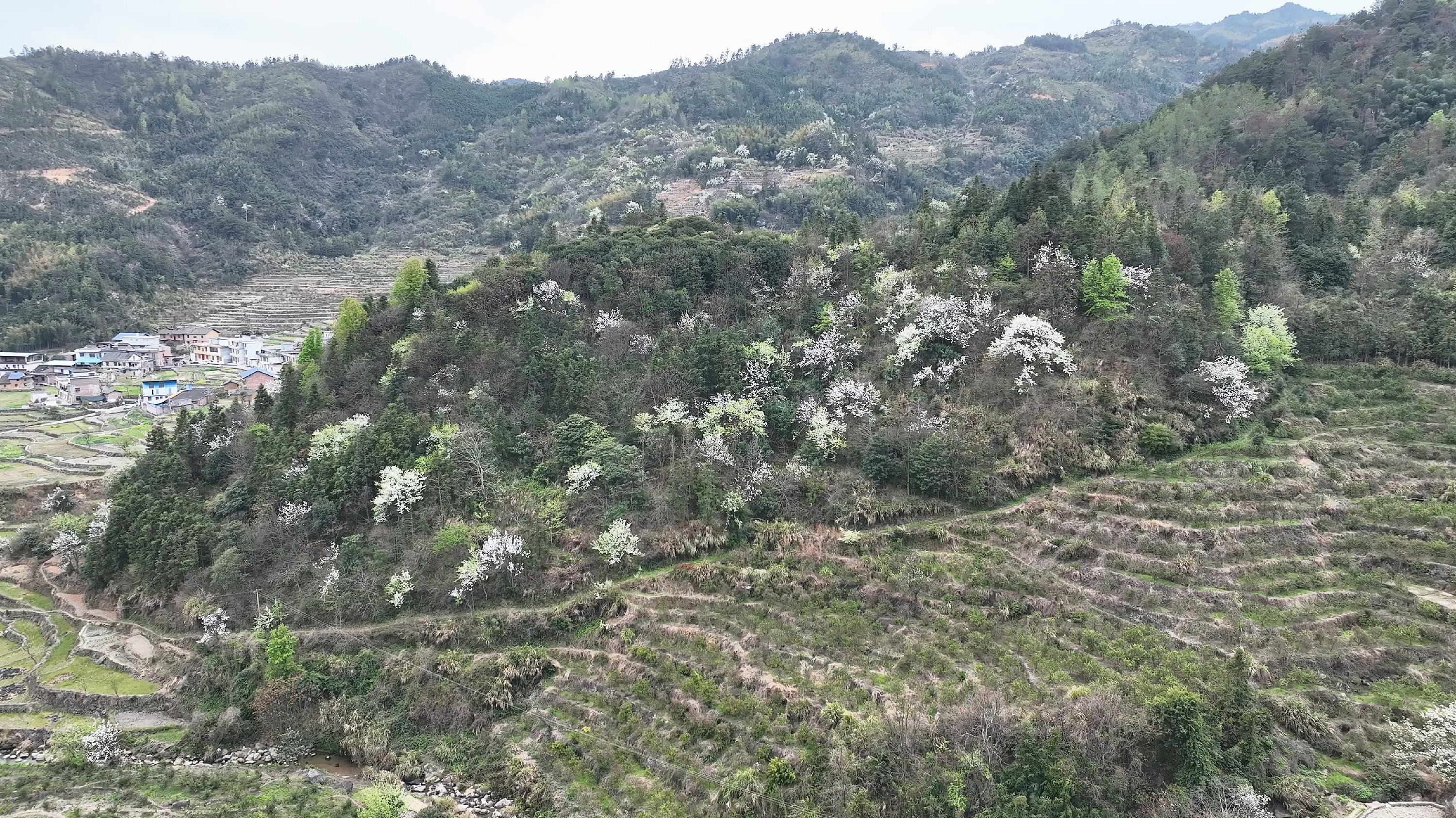 3月19日(23)_副本.jpg 3月19日(23)_副本.jpg