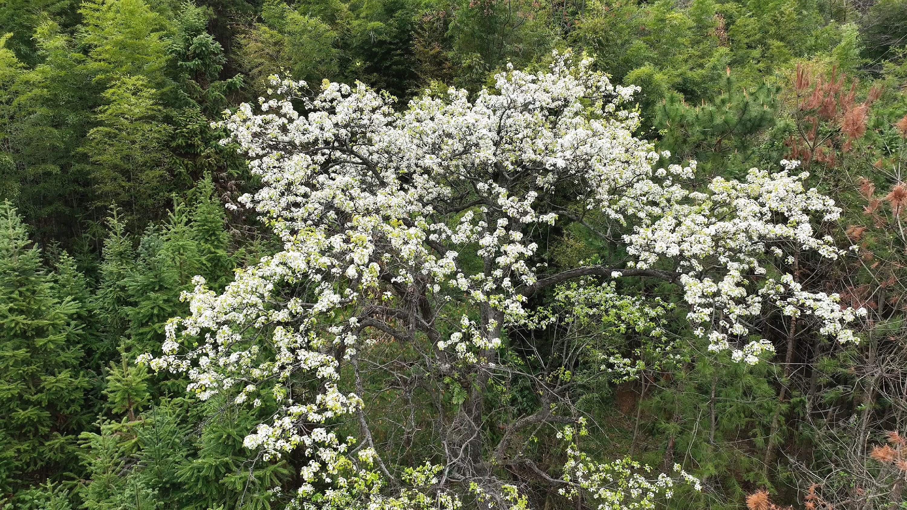 3月19日(26)_副本.jpg 3月19日(26)_副本.jpg