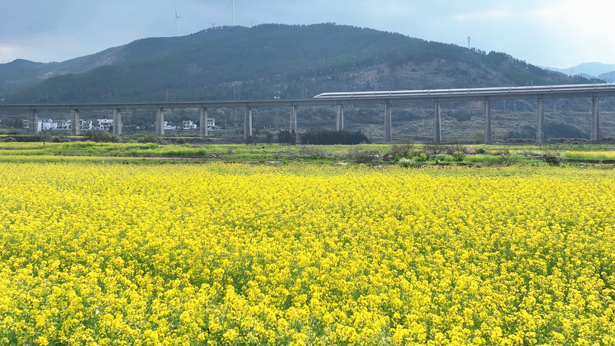 3月19日(17)_副本.jpg 3月19日(17)_副本.jpg