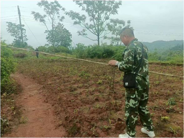 宜章县开展“护鸟清网”行动 守护生态家园